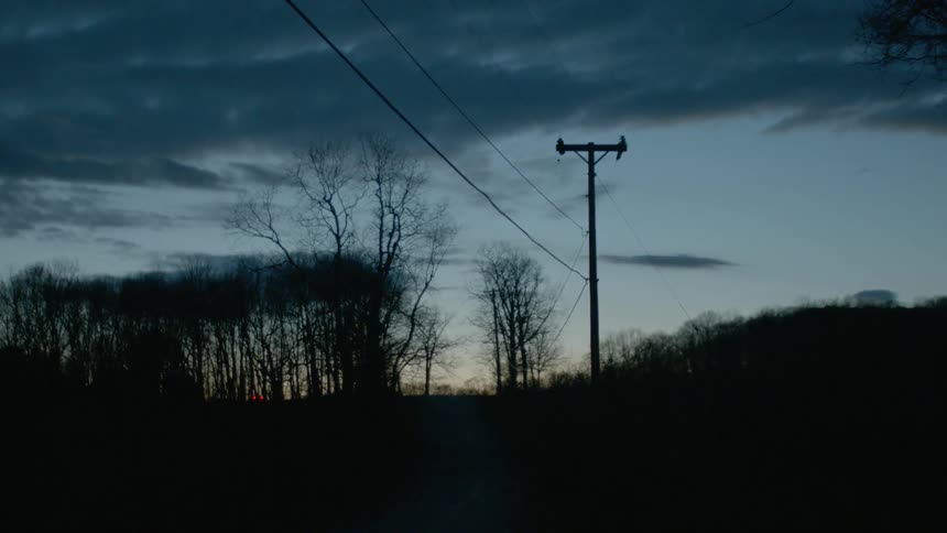 Trees and a power line are silhouetted at dusk