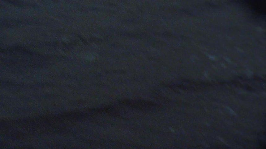 The water slowly splashes against the shore