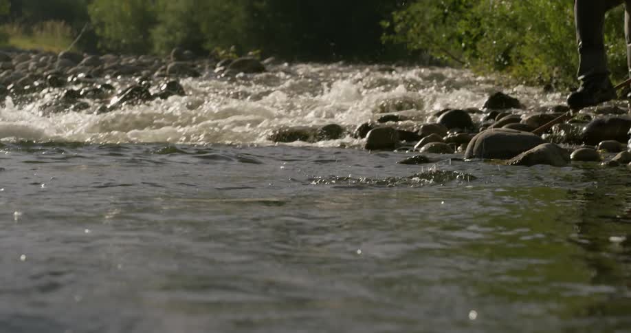 A fisherman catches a fish in a flowing river