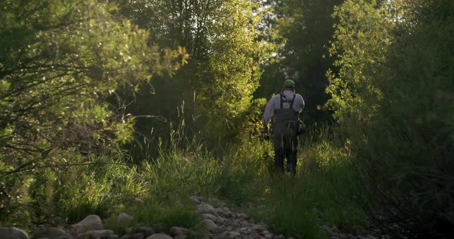 A man is hiking through the woods