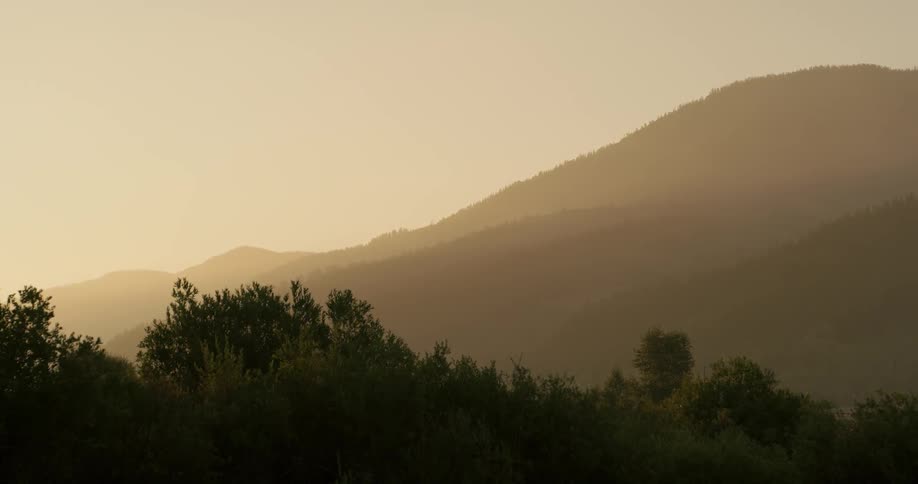 Trees line the side of a hill