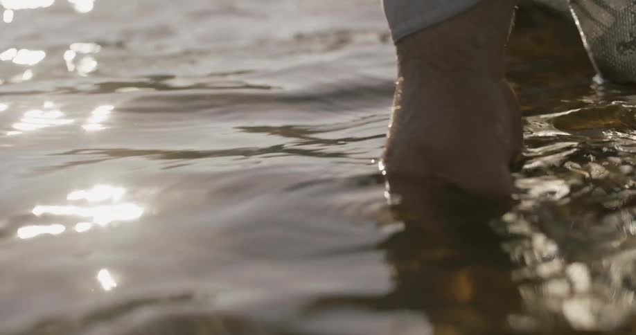 A man grabs a fish out of a net and releases it into the water