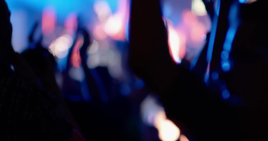 People are having fun cheering at a concert