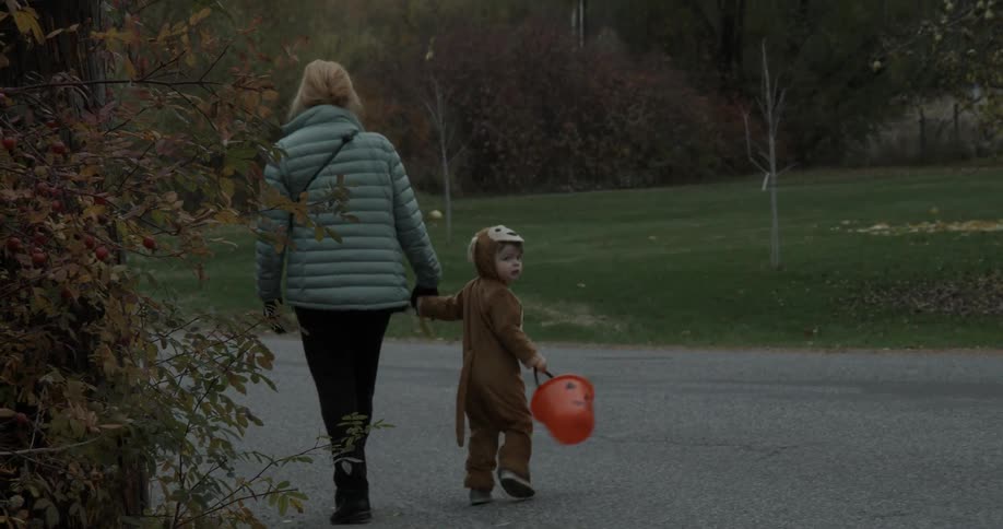 A boy in a monkey costume goes trick-or-treating with a woman