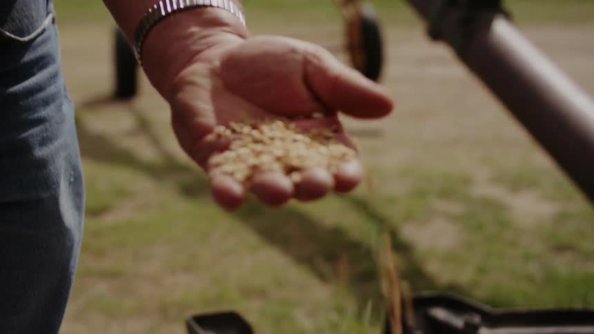 A man picks up a handful of seeds from an outdoor bin
