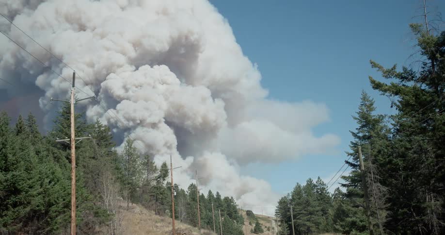 Smoke plumes into the air from a wildfire