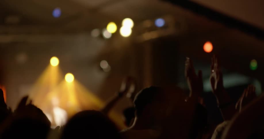 Crowd of people clapping at an indoor concert