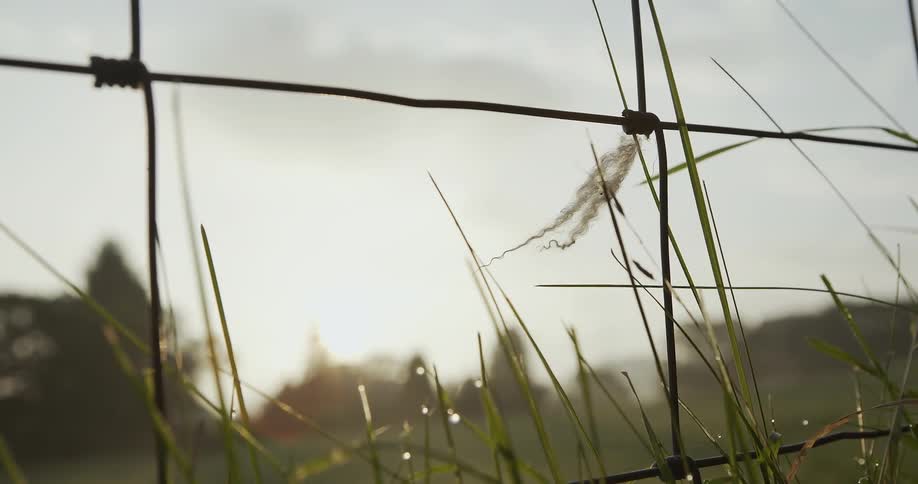 A wire fence is being filmed up close