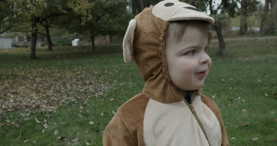 A child wearing a monkey costume smiles