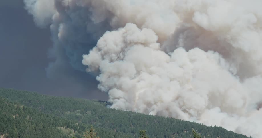 Smoke clouds from a fire billow in the distance above pine trees
