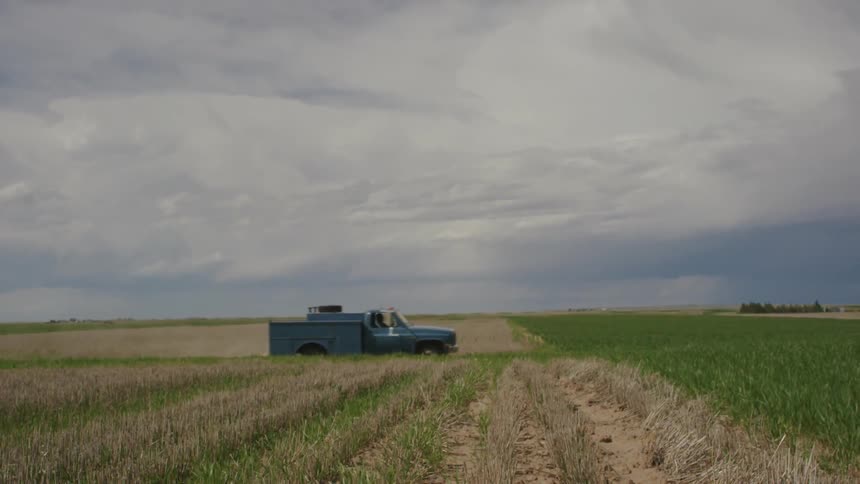 A truck drives through the long grass