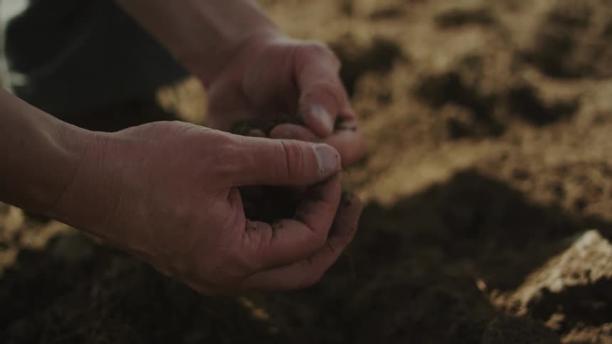 A man is looking through dirt with his hands