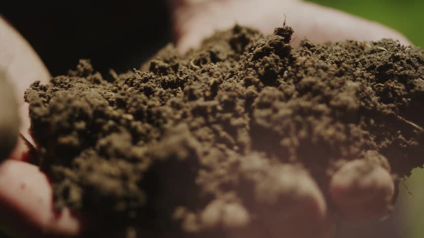 A man holds soil in his hands