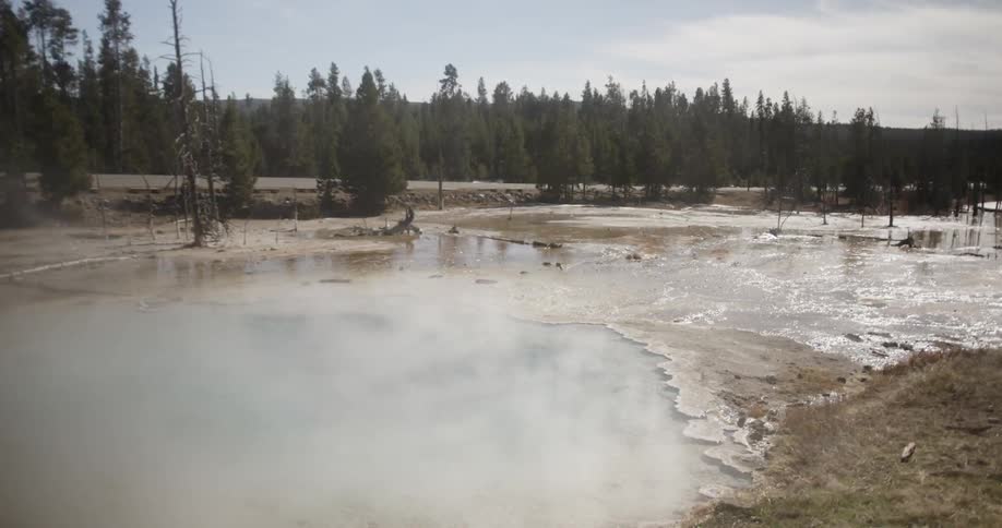 Steam rises from hot springs in a wooded area