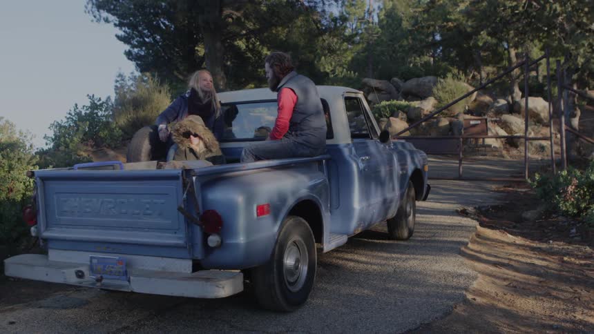 Three people ride in the back of a blue truck