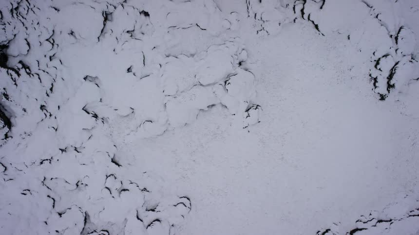 The trees in a forest are buried in deep snow