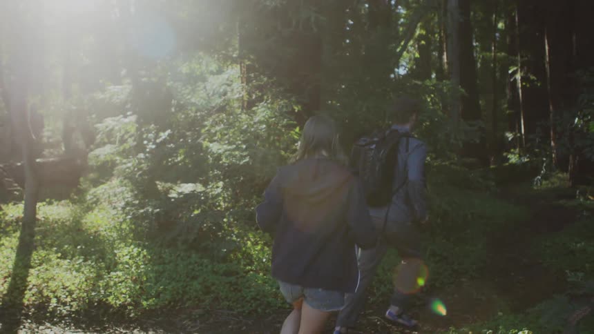 Man and woman running into a large forest together