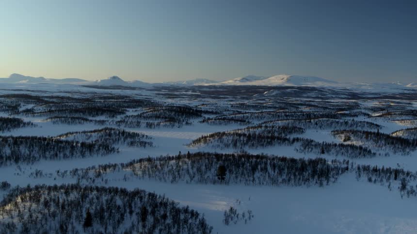 Snow and trees cover a mountain landscape at sunset