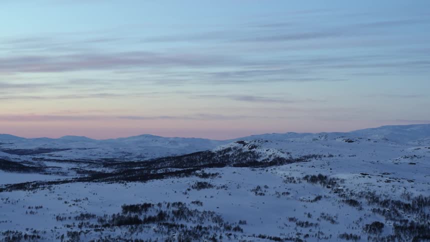 Snow covered ground dotted with trees at sunrise