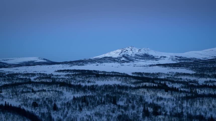 Trees cover the snowy and icy landscape in front of a mountain