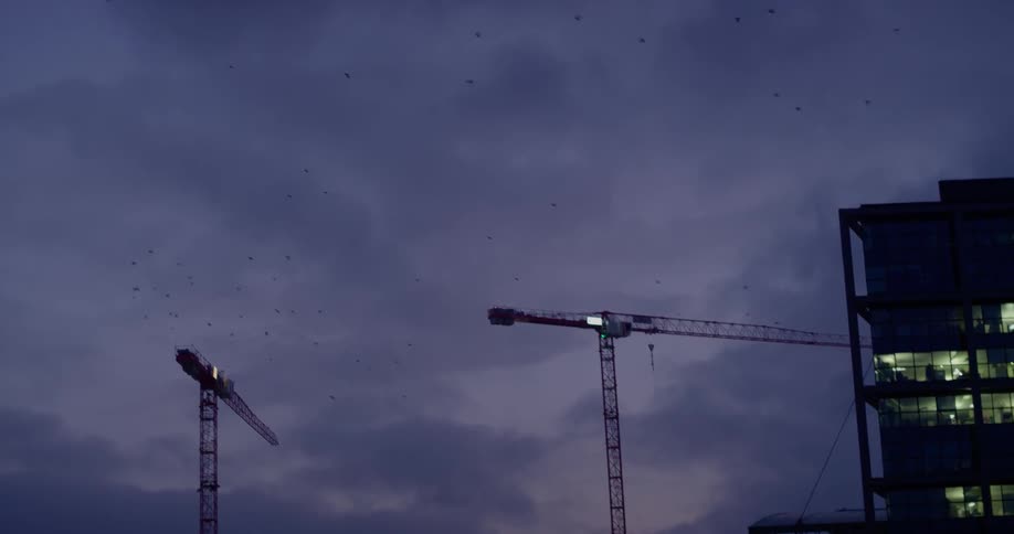 Flock of birds fly under a cloudy sky