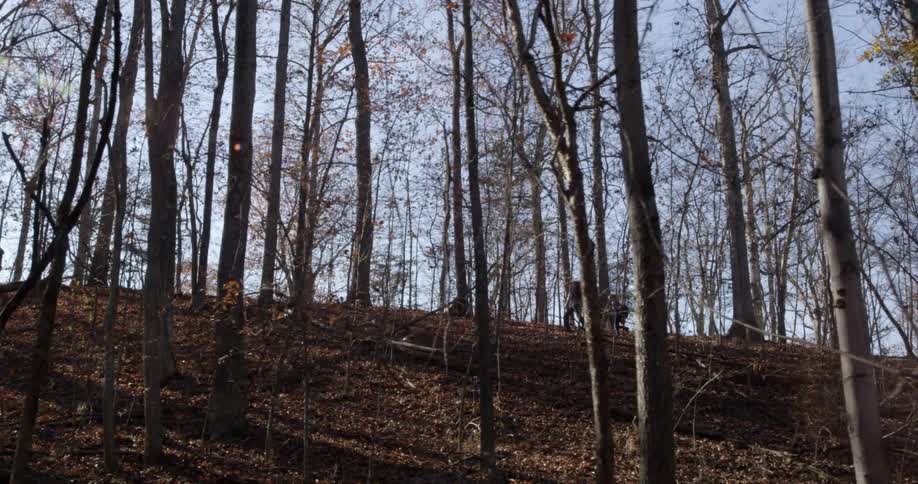 Two people wearing backpacks hike in the woods