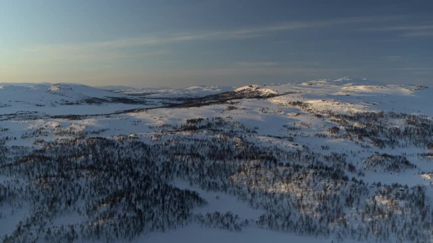 The mountains are covered with trees and sniw