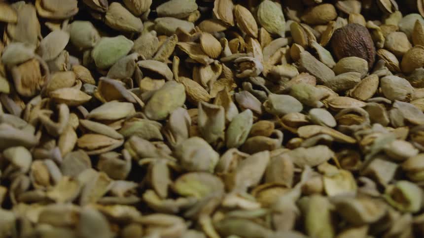 Nuts on a conveyor belt