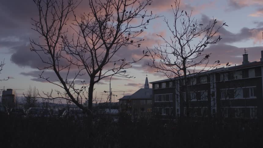 Bare trees, a parking lot, and various small town style buildings against a cloudy dusk/dawn sky