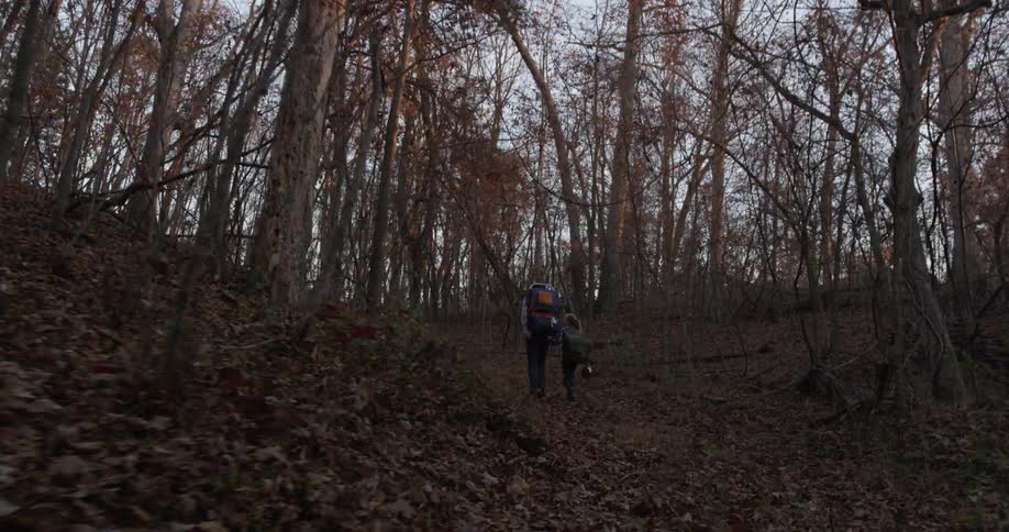 The two people slowly hike up the hill into the forest