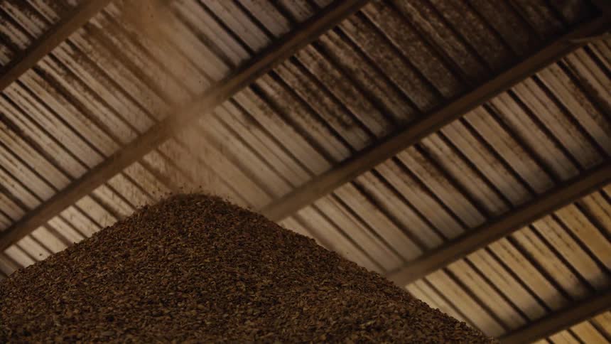 Grain is poured into a pile in a warehouse