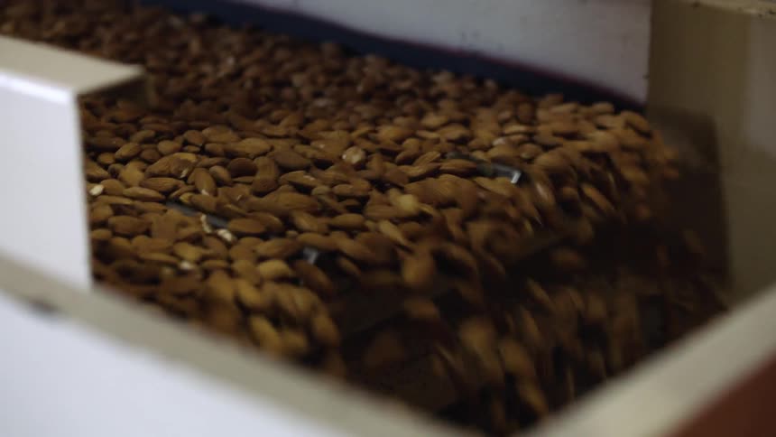 A machine rumbles moving food down a conveyor belt