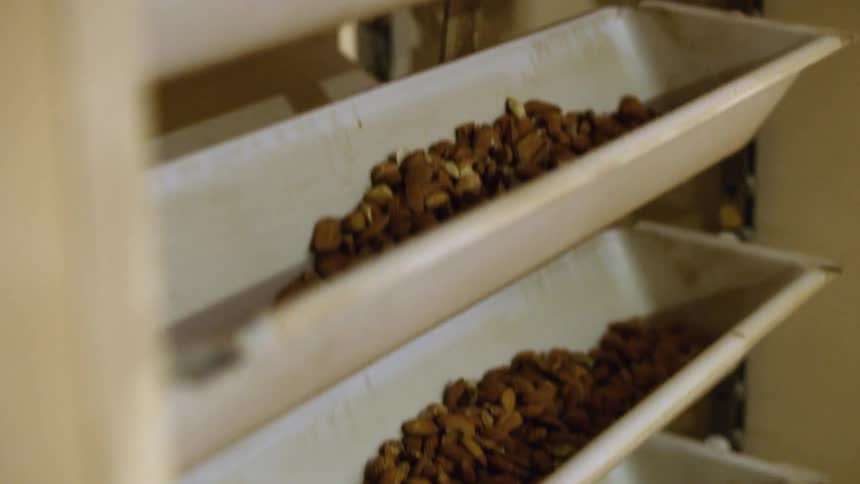 Trays of nuts are being lifted by a machine
