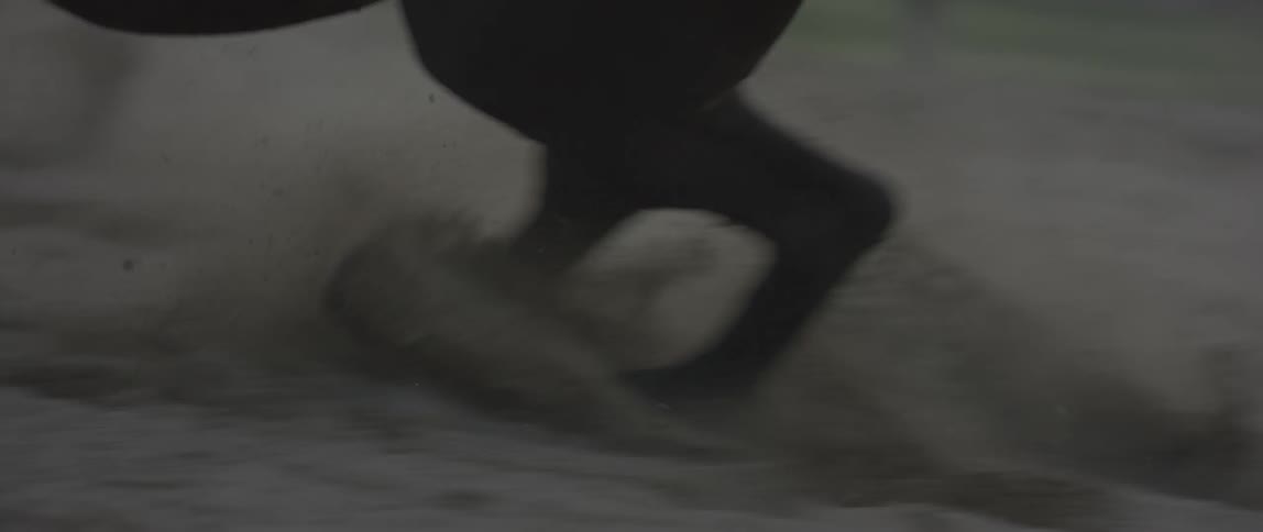 Horses run in a dirt paddock