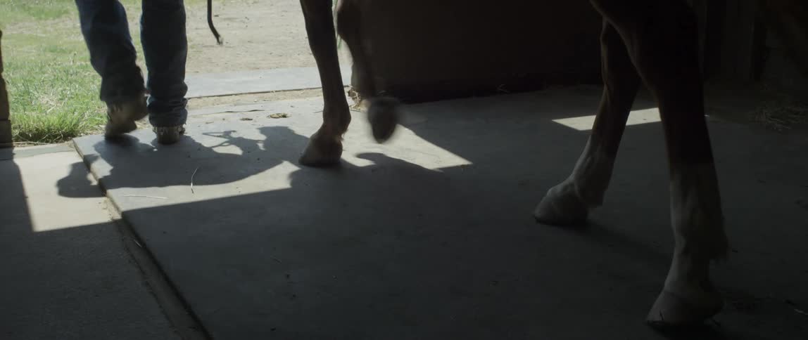 A person is leading a horse out of a stable during the day