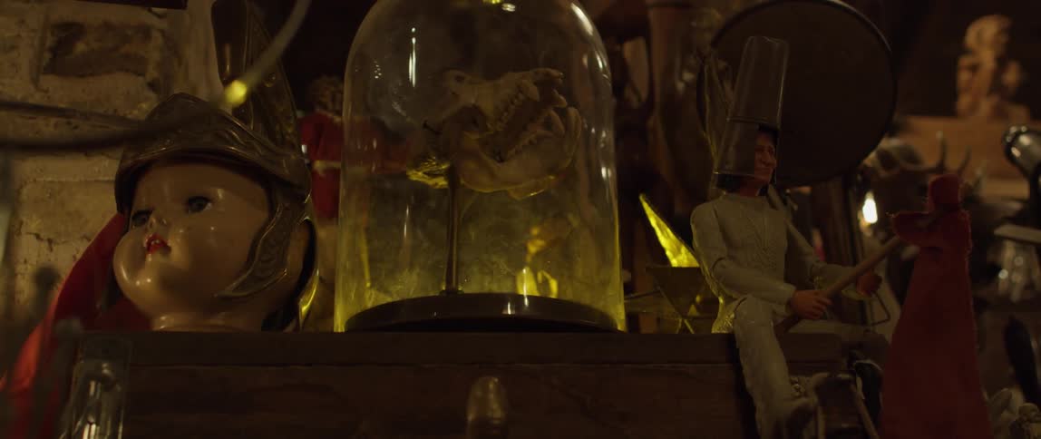 An animal skull sits in a display case on a shelf with curios and figurines