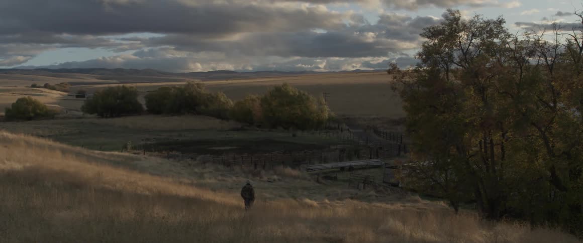 Person walks through a grassy field