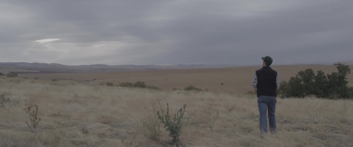 A man walks down the field on a cloudy day