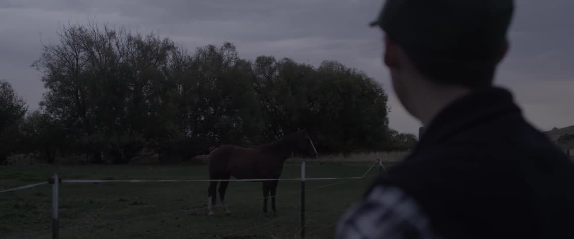A man is looking at his horse that is behind a fence