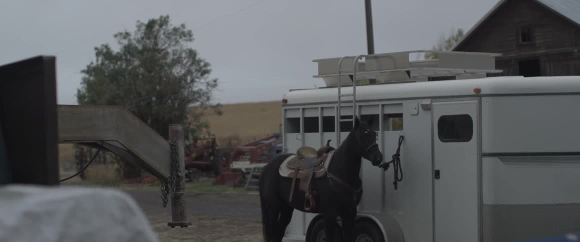 A horse is tied up to a white trailer