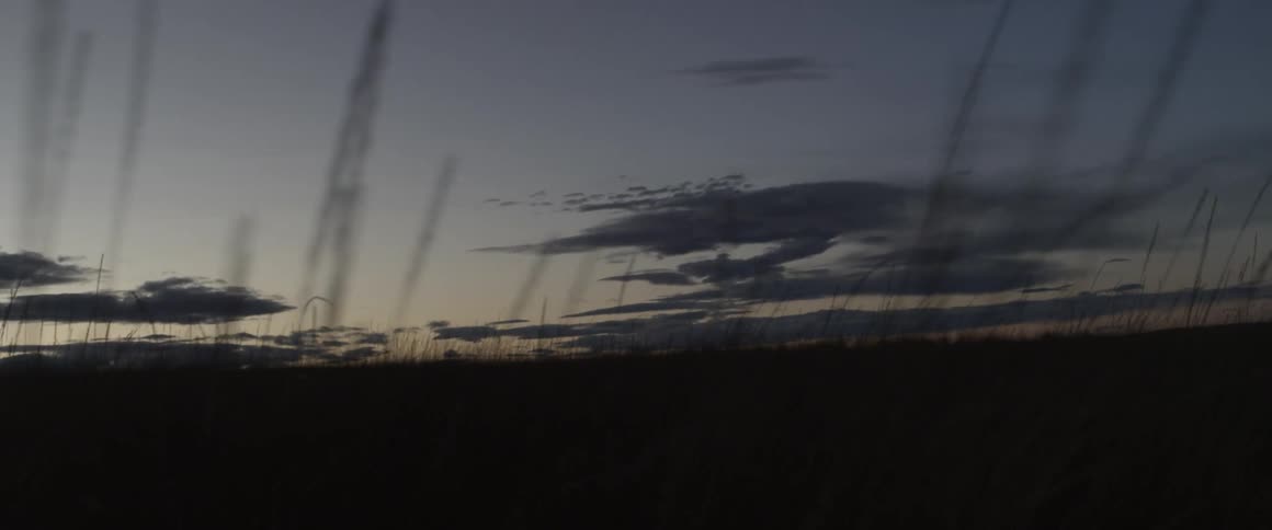 Grassy field sits under a cloudy sky