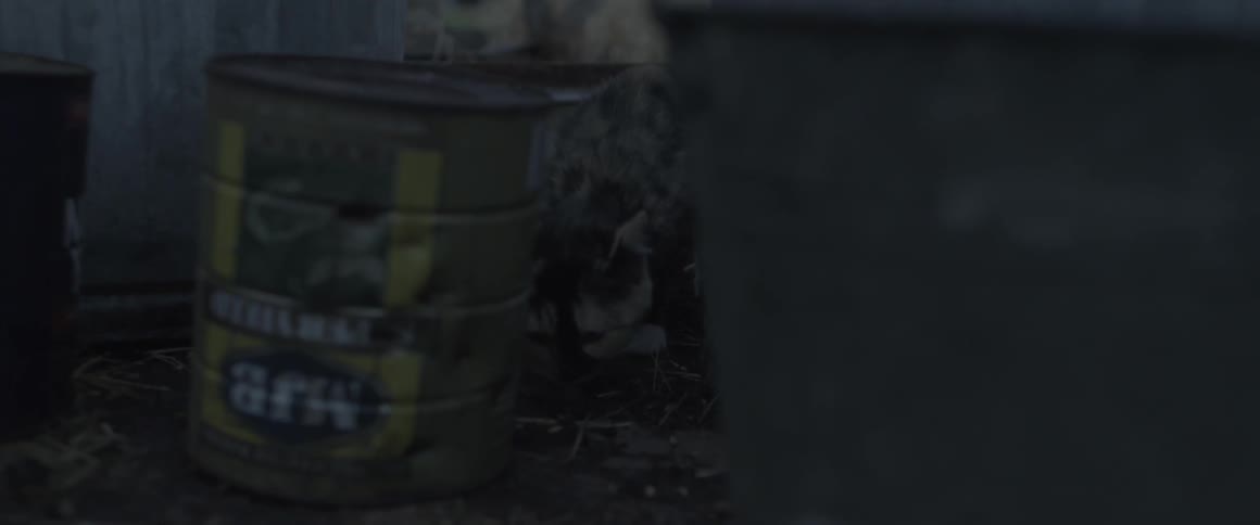 A cat stands near a metal barrel