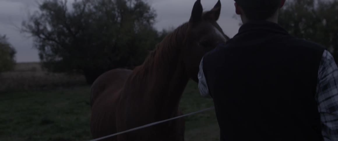 A man pets a horse on the other side of a fence