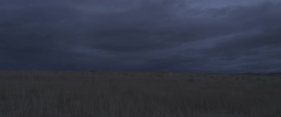 Large field sits under an overcast sky