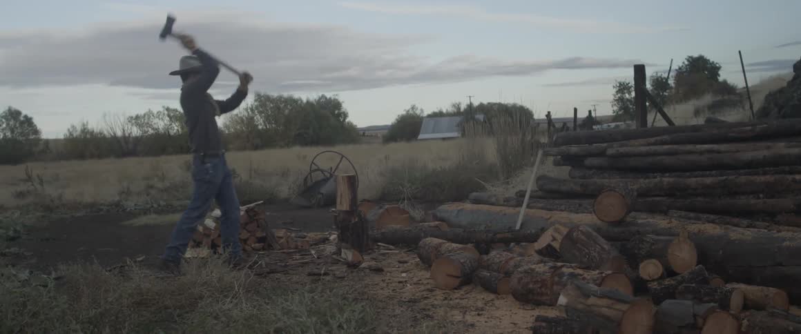 A man chops logs near a field