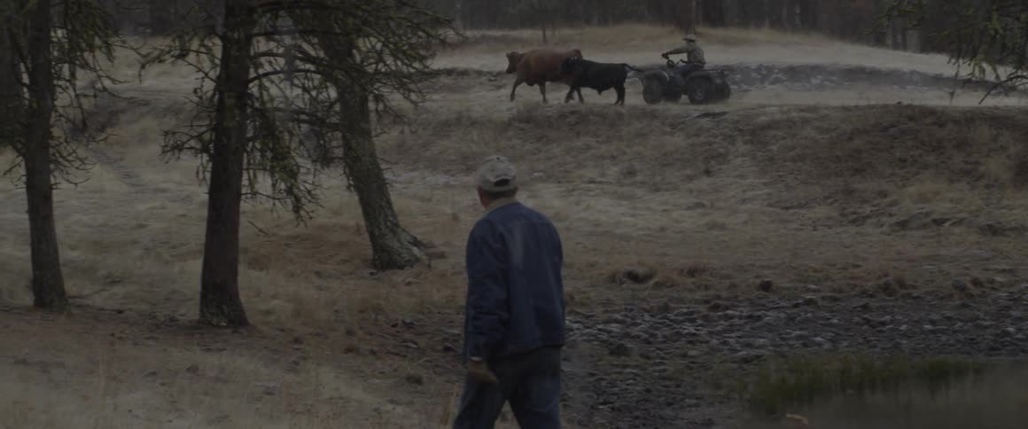 A man on an atv herds cows while another man looks on