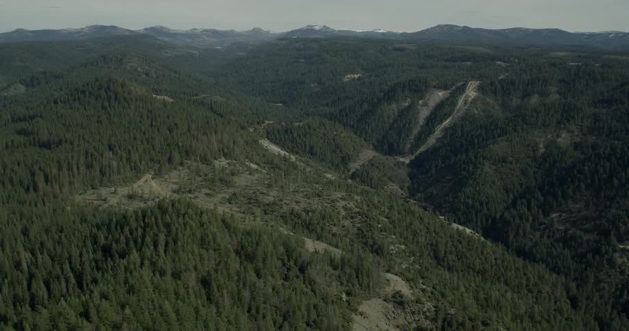 Clearings and trails are visible on the tree covered mountains in Lake Tahoe, California