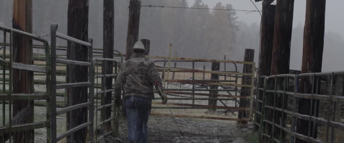 A man walks through his farm as it rains