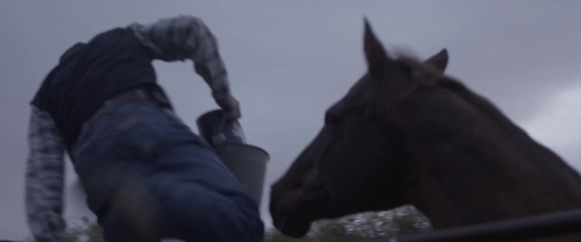 A man climbs into an enclosure with a horse
