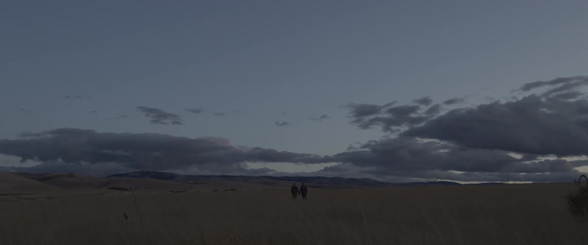 Two people walking through a field of tall grasses at sunset